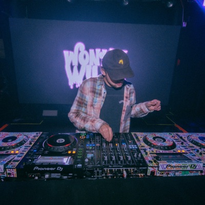 WonkyWilla performing on tour